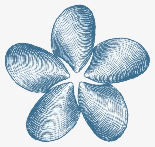 Natalie's Headshot - Illustration #8884077