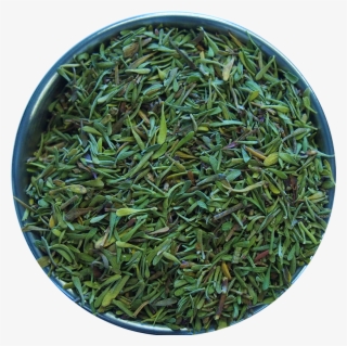 Parsley - Grass #8884181