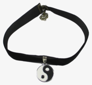 Discover The Coolest - Bracelet #8884599