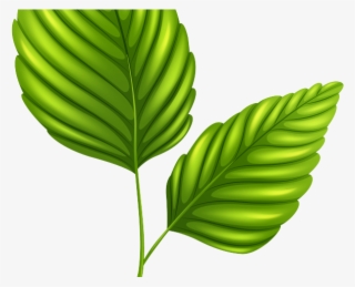 Green Leaves Clipart Outline - Desenho Plantas Png #8886085