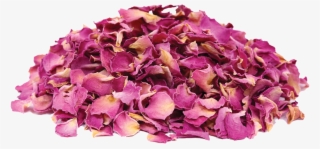 Herbs & Botanicals - Artificial Flower #8887175