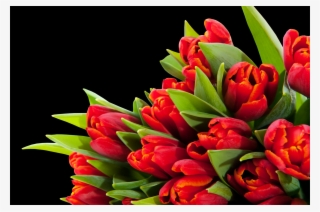 Did You Know - Happy New Year 2019 Odia #8887629