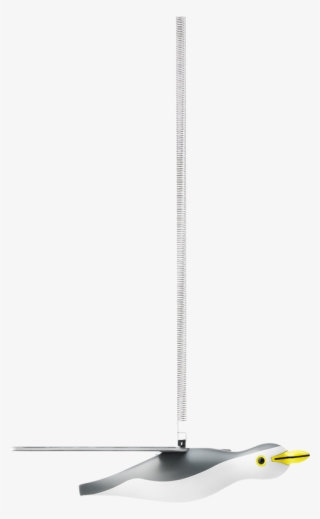 Seagull Small Grey White - Ceiling #8887829