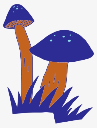 Scientists Have Used Carbon Dating And Archaeological - Edible Mushroom #8887953