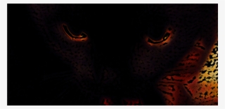 Cat's Eyes - Darkness #8888129