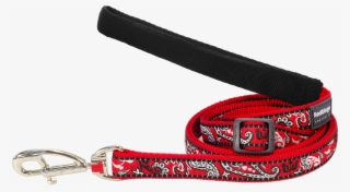 Products - Belt #8888237