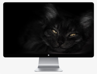 Score 50% - Wolf On A Cliff #8888346