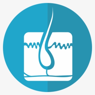 What Is An Electrolysis Laser - Foliculo Piloso Png #8889560