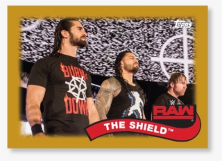 Gallery - The Shield #8889800