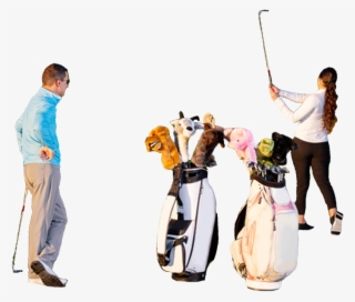 Black Poodle Hybrid - Foursome (golf) #8891239