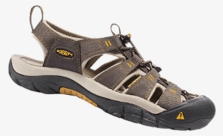 Hiking - Sandal #8892417