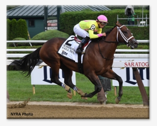 Skip To Content - Horse Racing #8894073