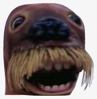 Https - //image - Noelshack - Com/minis/2017/08/ - Pingu Walrus #8894865