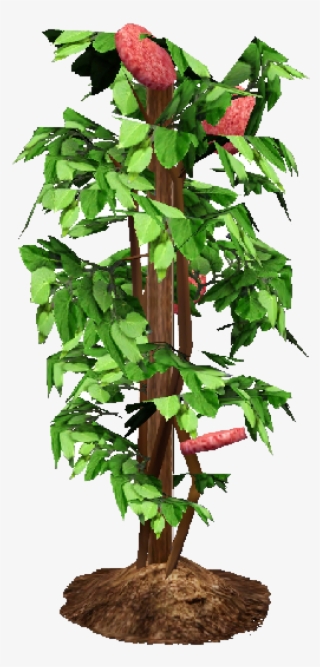 Flower Bush Png Death Eggplant Clipart - Bell Pepper Plant Png #8895155