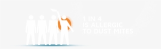 Dust Mite Allergy - Graphic Design #8895284