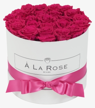 Orb Deluxe Hot Pink Roses - Pink Roses #8896121
