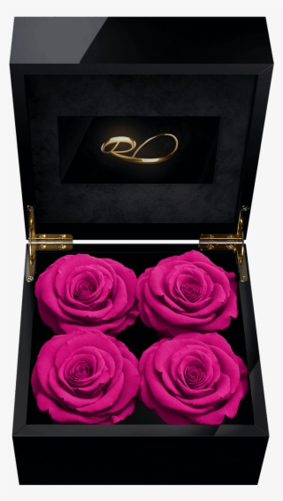 Luxury Video Flower Box Majestic Iv With 4 Preserved - Flower Box #8896267