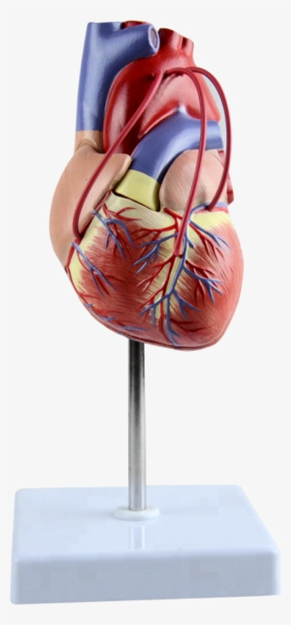 Sculpture #8898162