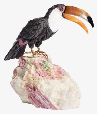 Shopping Bag - Toucan #8898686