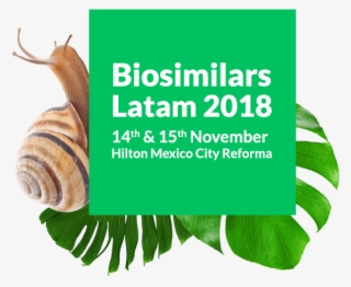 Biosimilars Latam 2018 Forum - Biosimilars Latam 2018 #8899091