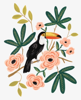 Toucan - Rifle Paper Co Wall Calendars 2017 #8899128