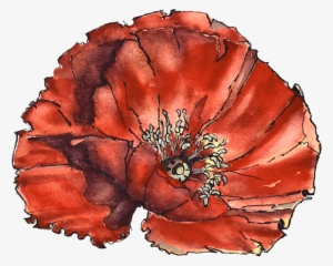 The Poppy - Poppy #890477