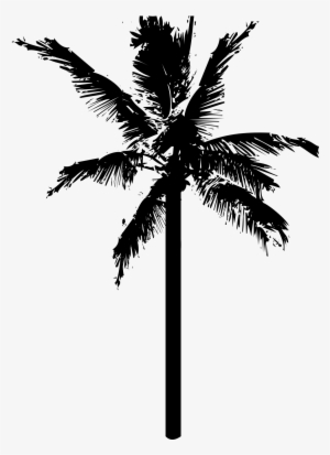 White Palm Tree Png - Coconut Tree Png Icon #890527