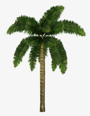 Coconut Palm - Zoo Tycoon 2 Trees Png #890566
