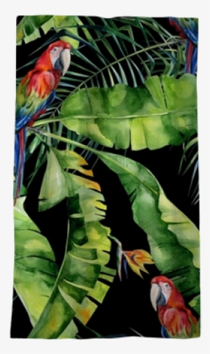 Scarlet Macaw Parrot - Obrazy Na Płótnie Tropical Papugi #890604