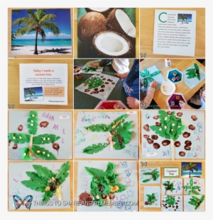 Chicka Chicka Boom Boom Tree Art - Palm Tree At The Beach (lbh 70x50x0,4 Cm) #890711