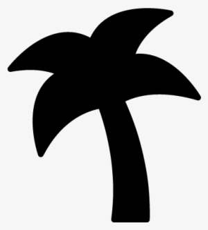 Coconut Tree Vector - Coconut #890906 Coconut Tree Vector - Coconut #890906