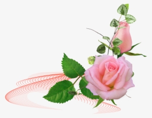 0 1a3f85 2d73e024 Orig - Amintiri Frumoase De Miercuri #892749