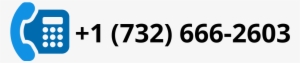 17326662603/ 666-2603 Phone Number - Wavephore Networks Inc #893105