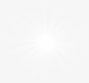 Quality - Light #893963