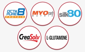 In Order To Ensure Anabolic And Anti Catabolic Qualities, - Circle #894838