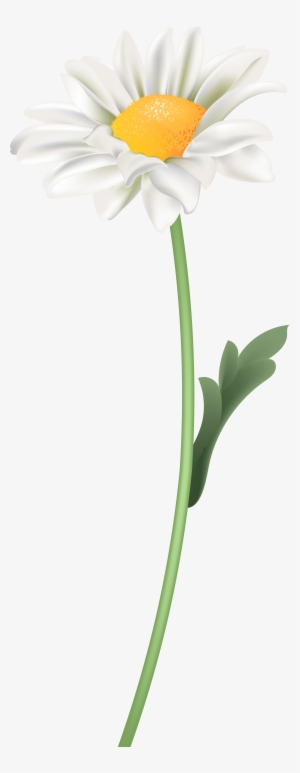 Portable Network Graphics #895530