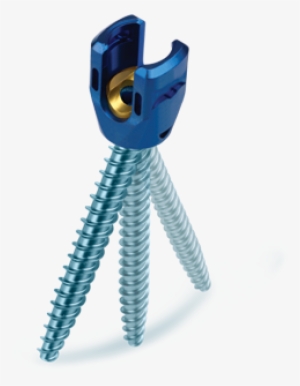 Uniplanar Screws - Globus Pedicle Screw #896188