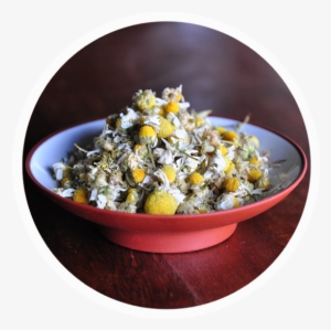 Chamomile Round #896559