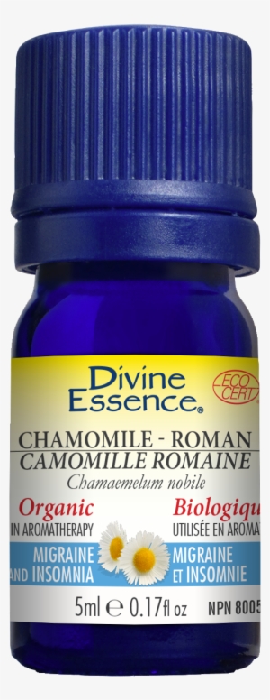 Share - Divine Essence Carrot Organic Essential Oil #896610