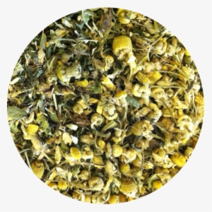 Chamomile Citron - Gravel #897023 Chamomile Citron - Gravel #897023