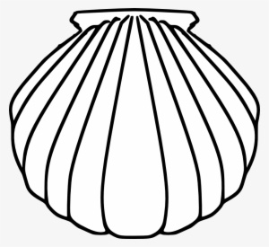Shell Clipart Pilgrim - Baptismal Shell Clip Art #897464