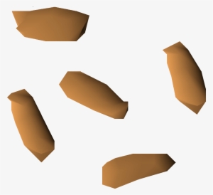 Curry Tree Seed Detail - Curry Tree Seed #898501