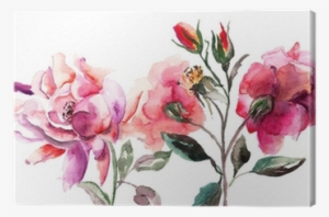 Beautiful Roses Flowers, Watercolor Painting Canvas #899283