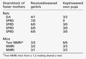 Results Of Fostering Gerbils To Rats And Mice - Number #899642