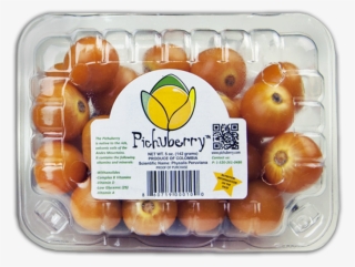 Pichuberry Fruit - Tangerine #8900700
