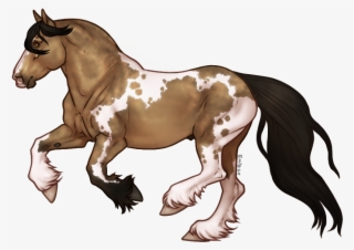Seal Brown Tobiano #8900918