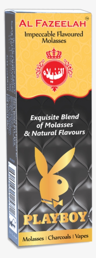 Domestic Rabbit #8902035