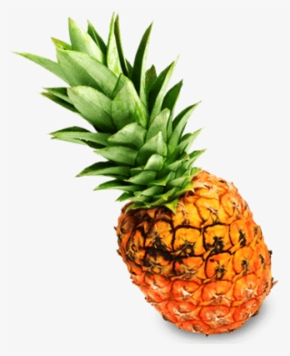 P - Pineapple #8902139