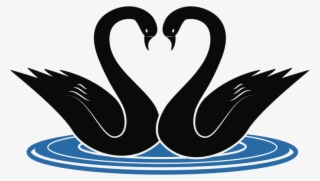 Medium Image - Clip Art Swans #8903355