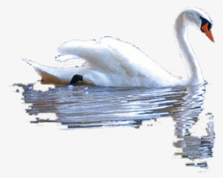 Collage Art #8903566